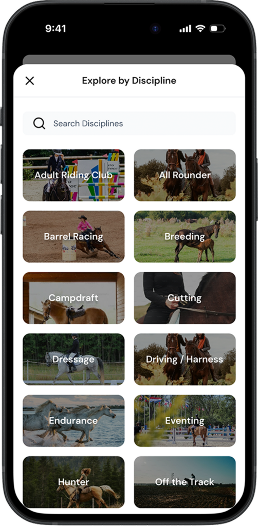 iEquine Categorisation